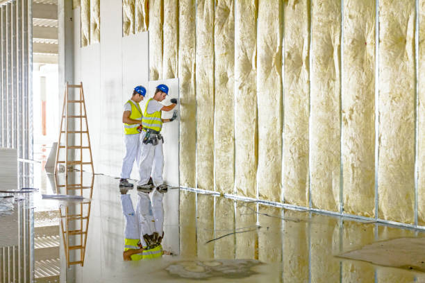 Best Energy Efficiency Insulation in Frazier Park, CA